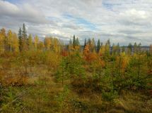 Hyrynsalmi, Hyrynjärven länsiosa