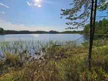 Ilomantsi, Kontiolampi