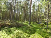 Kemijärvi, Soppela, Ketovaara