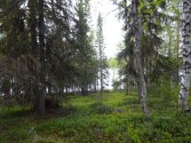 Rovaniemi-Karjalanjärvi
