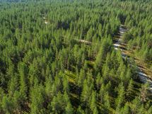 Pudasjärvi, Syöte, Pytkynharju