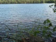 Näkymää Kuohijärvelle