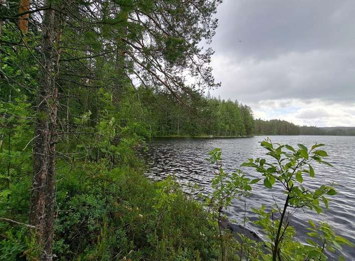 Kohdekuva