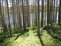 Suomussalmi, Kaunisniemi-Merkkivirta