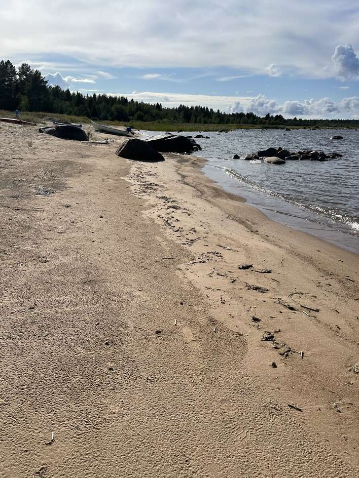 Tontti, 2 914 m², Yppäri