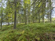 Rovaniemi-Karjalanjärvi