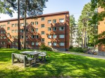 Taloyhtiön piha on vehreä ja rajautuu pieneem metsäalueeseen.