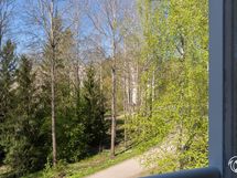 Metsäinen parveke maisema.