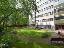 Piha-alue on vehreä.