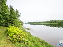 Ranta