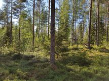 Sievi, Maasydänharju