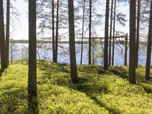 Kuhmo, Iso-Rommakkojärvi, Lautakankaantie