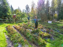 Sovi esittely: Linda 050 543 6003 Timo 040 543 7369