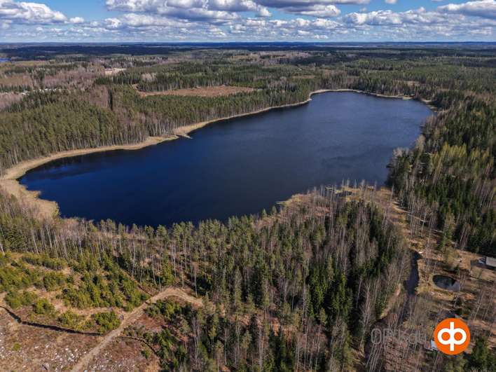Tontti, 1,30 ha, Porras, Tammela