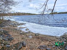 kovapohjainen ranta