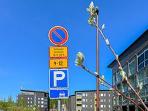Auton saa pysäköidä kadun varteen.
