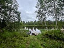 Ranta
