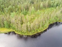 Rautavaara, Ahveninen, Puutisenlahti