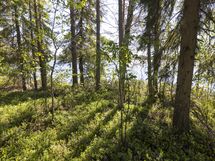 Kuhmo, Iivantiira, Saarensalmentie 