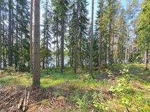 Heinävesi, Suuri Humalajärvi