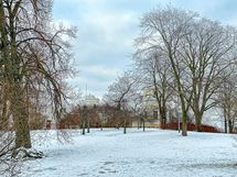 Aivan talon vieressä on Tähtitornivuoren puisto leikkialueineen