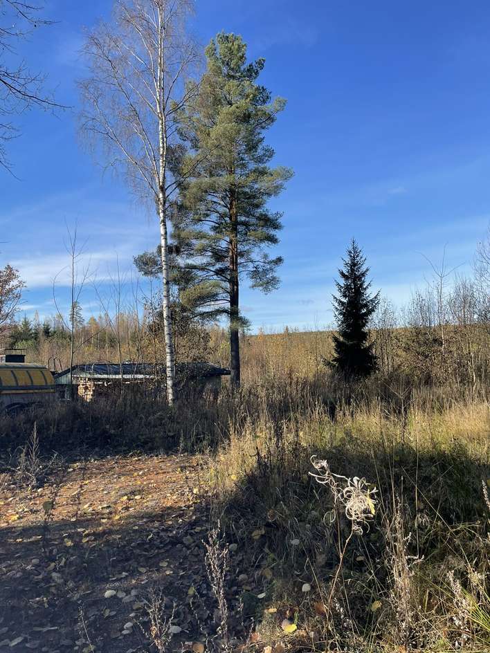 Tontti, 1 000 m², Seutula - Näkymä 3