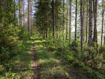 Puolanka, Pirttijärvi