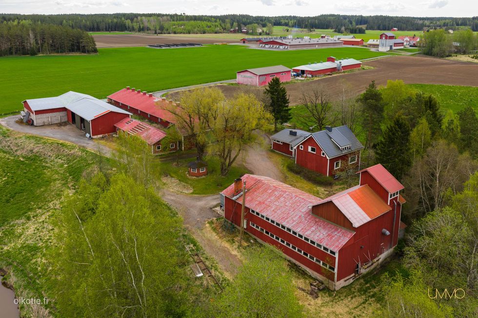 Kohdekuva
