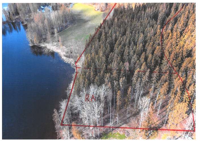 Tontti, 4,99 ha, Rautavesi, Hartola
