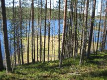Suomussalmi, Kaunisniemi-Merkkivirta