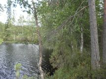 Tila Vehkaniemi RN:o 2:104