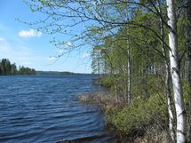 Kuhmo, Iivantiira, Moisiovaarantie 
