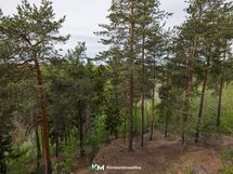 Metsäinen näkymä terassilta