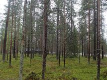 Salla, Sallatunturi, Seitakuja