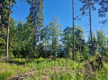 Sotkamo, Pieni-Kiimanen, Kaitainsalmi