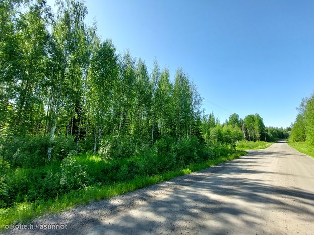 Asuntoilmoituksen kuva