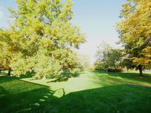 tonttiin rajoittuva puisto-alue