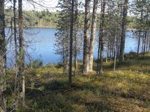 Näkymä mahdolliselta loma-asunnolta