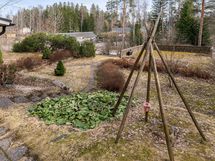 Yläpihaa