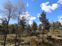Parvekkeelta