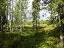 Rovaniemi-Karjalanjärvi