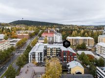 Lämpimästi tervetuloa tutustumaan ja ihastumaan!