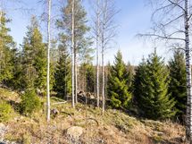 Parvekemaisemaa