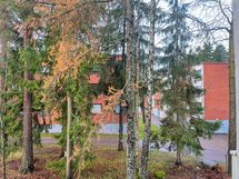 Ikkunanäkymä on ihanan vehreä, ilmansuunta lounaaseen.