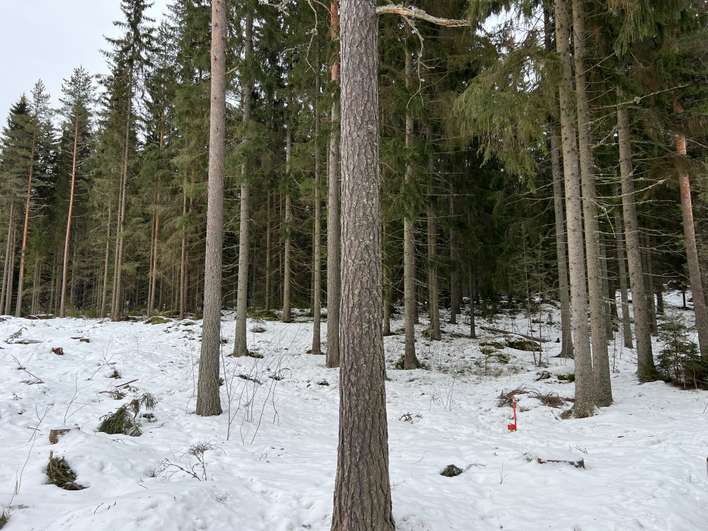 Tontti, 4 000 m², Lempäälä - Näkymä 2