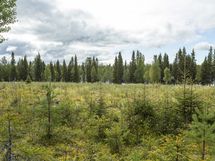 Rovaniemi-Karjalanjärvi