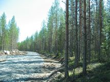 Kuhmo, Iivantiira, Petäjälahti-Kortelahti