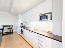 Hyvin varusteltu avokeittiö.