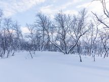 Enontekiö, Kilpisjärvi, Saanajoki
