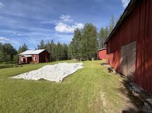 Kasvimaa